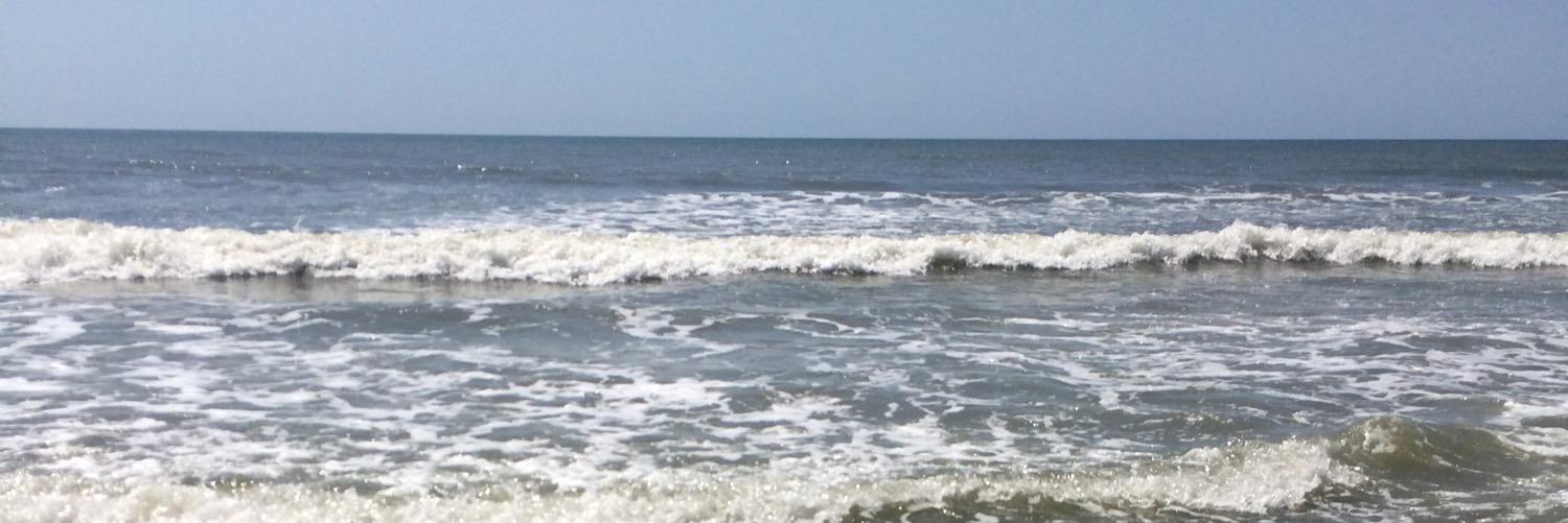 lifewithlayna's profile banner image