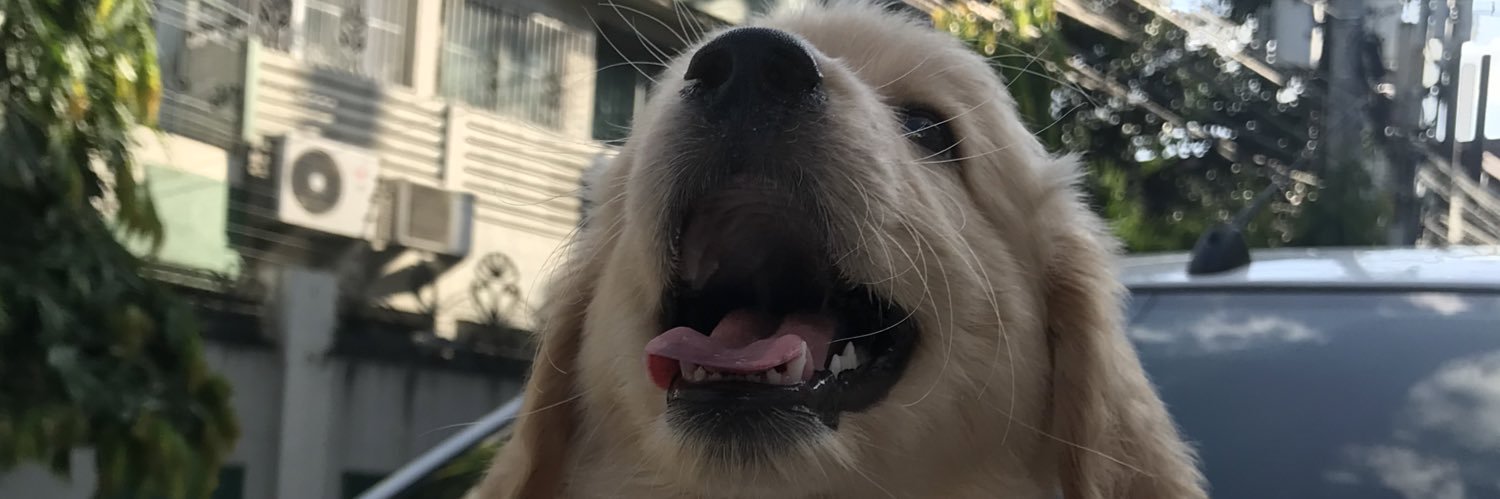 maindblowingg's profile banner image