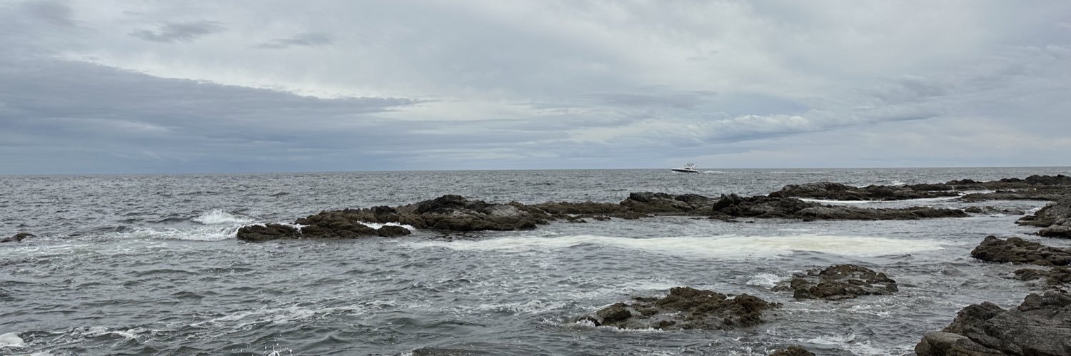 Lizeth____Lopez's profile banner image