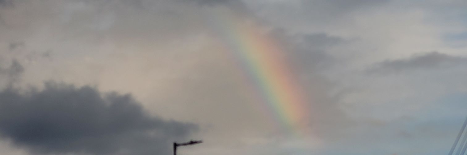 wallissonoli's profile banner image