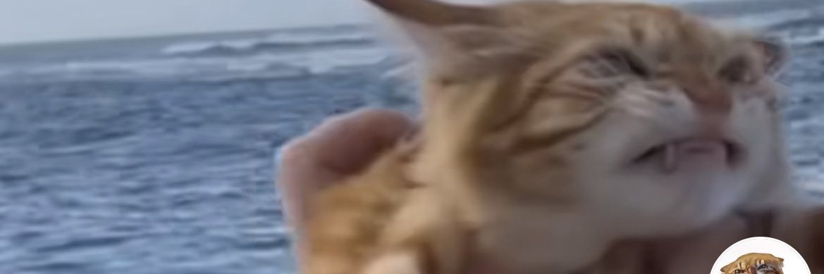 quad_rangle's profile banner image