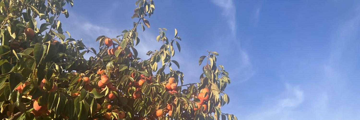 m0nkrat's profile banner image
