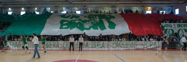 VikingBroni Profile Banner