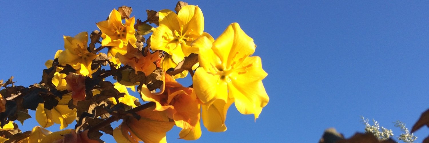OCNature's profile banner image