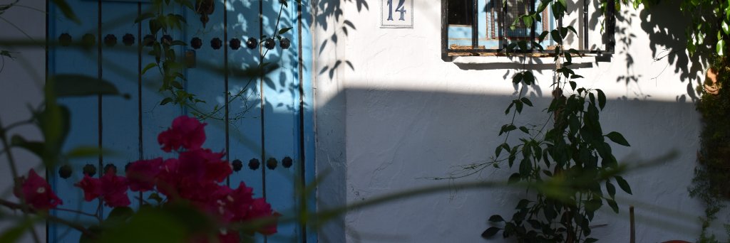 María Baz🌙 banner