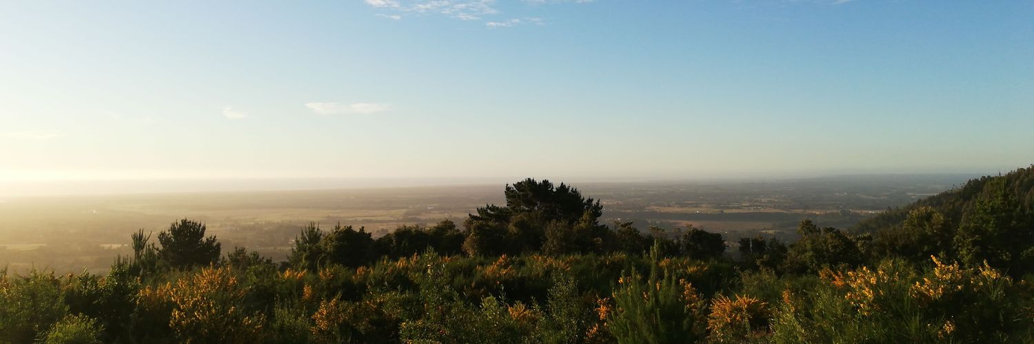 caro_ACampos's profile banner image