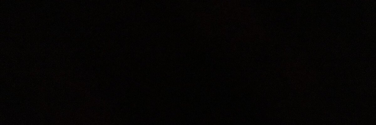 I think we're alone now banner