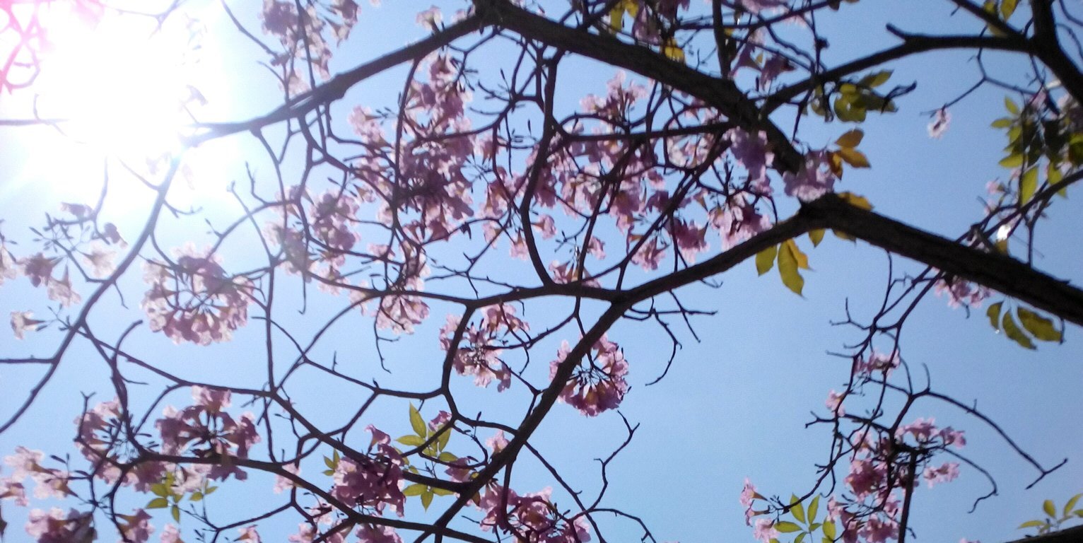 alia_abdullah82's profile banner image