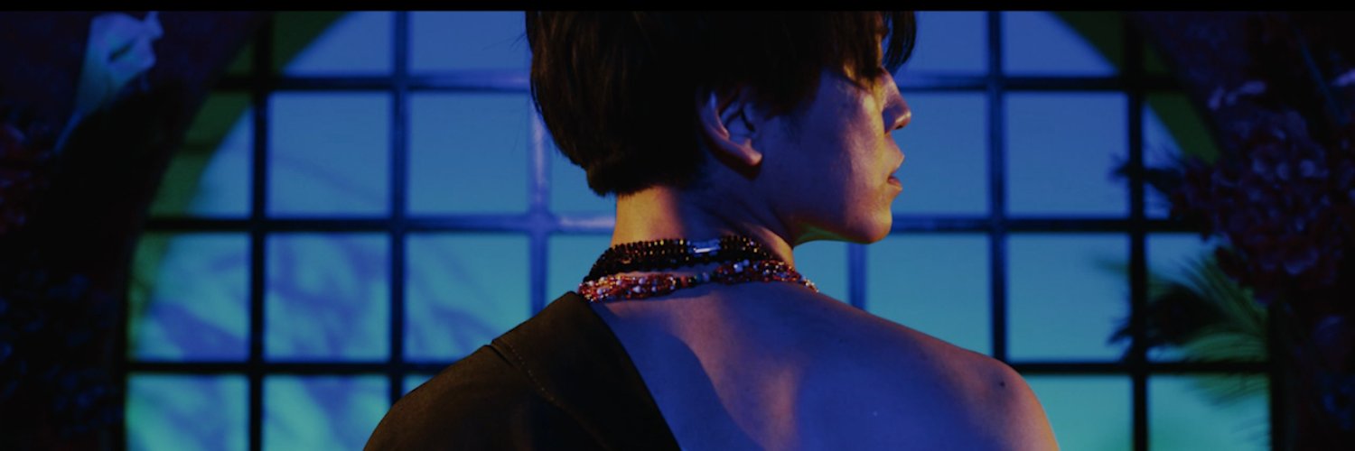 WildAdapter's profile banner image