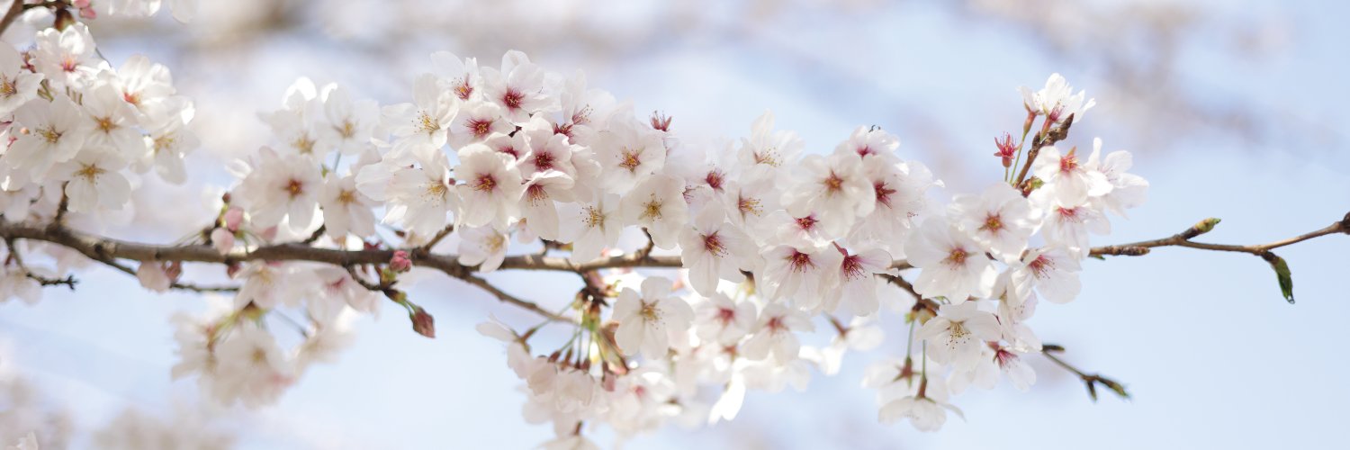 mr2hk2341's profile banner image