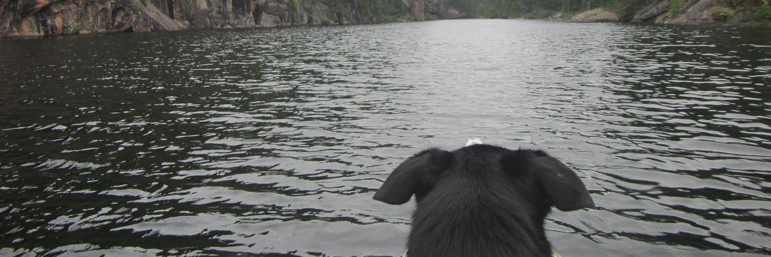 CKoropeski's profile banner image