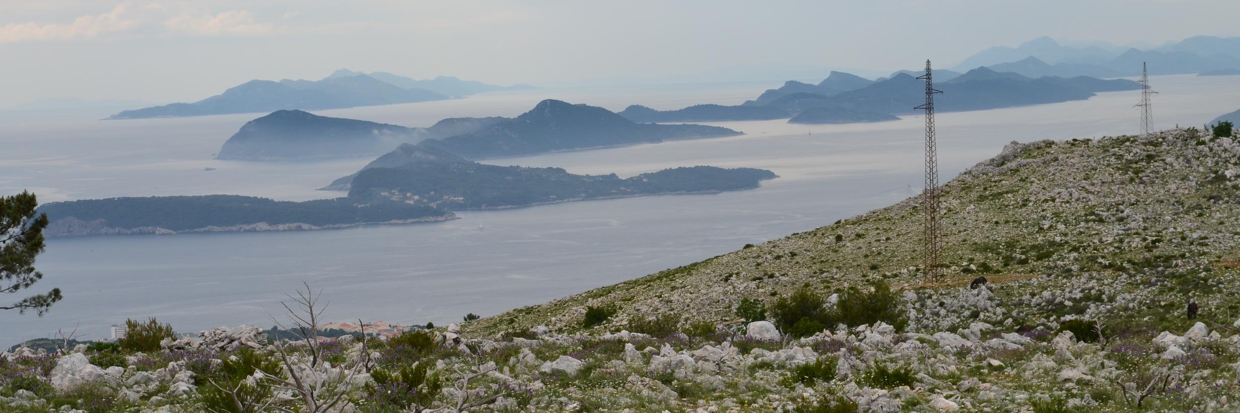 Ryan Middleton banner