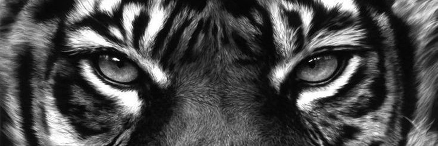 DemersonCoelho's profile banner image