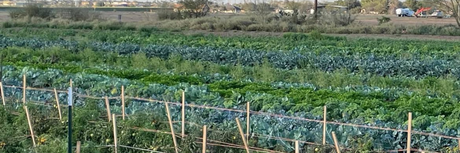 TexasLocalFood banner