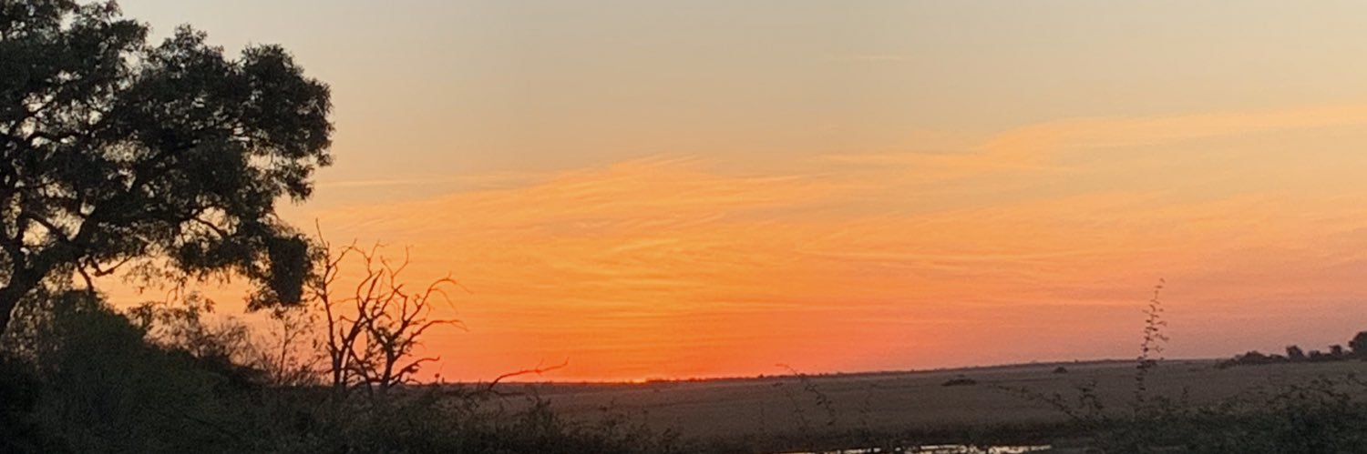 Sterpalert's profile banner image