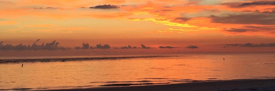 Prof Cihan Cobanoglu banner