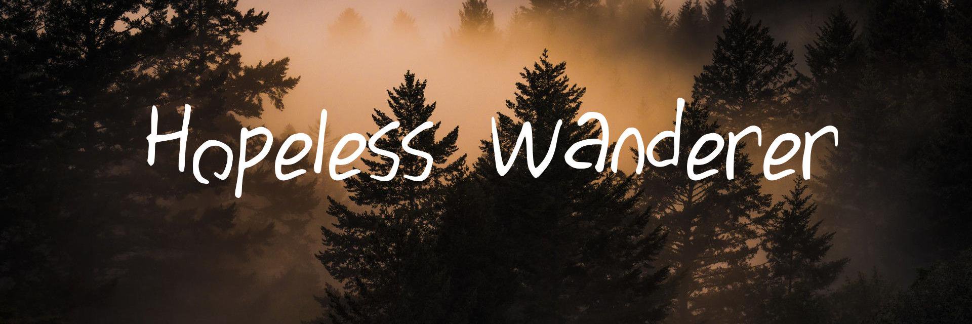 wander_channel's profile banner image