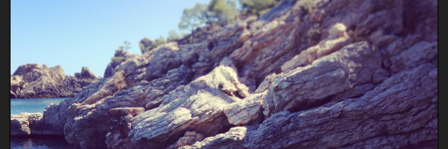 Alison Foreman banner