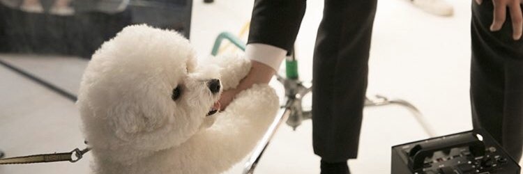 10atako's profile banner image