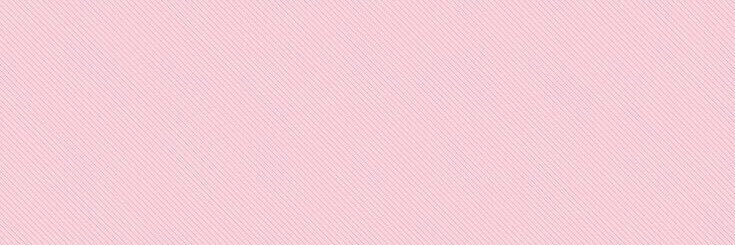 lorenaschuster's profile banner image