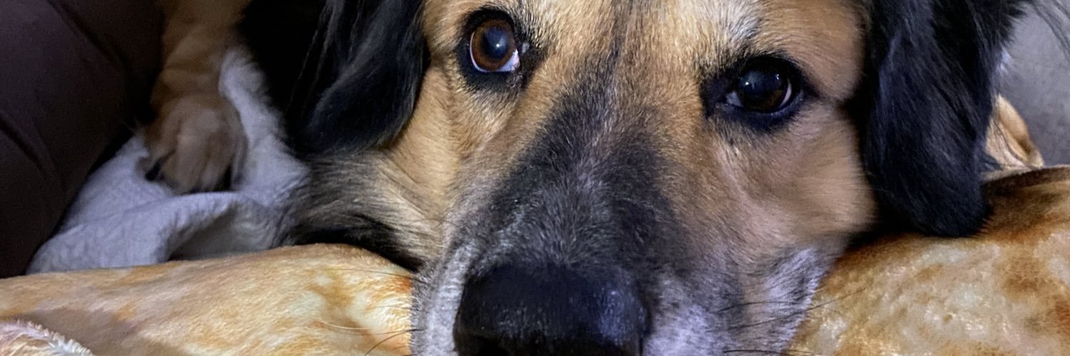 jessk690's profile banner image