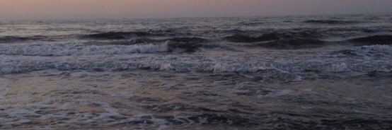 abbiehibsch's profile banner image