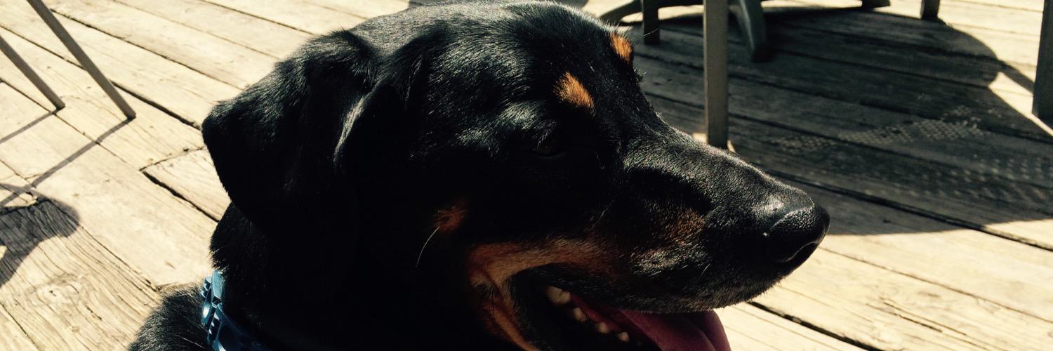 eliz_simpson's profile banner image