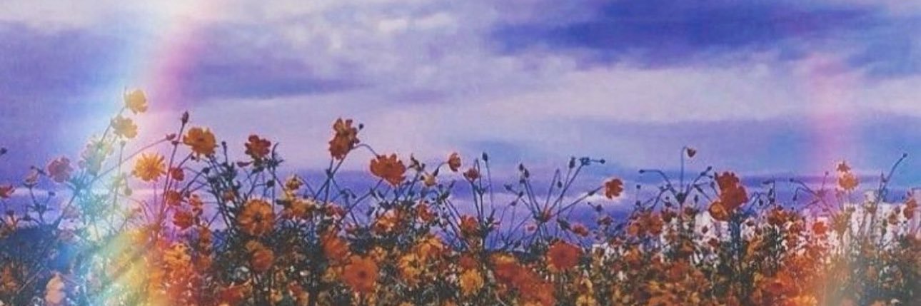 mefol96's profile banner image