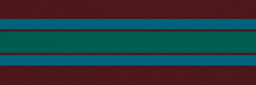 Sporty Vice banner