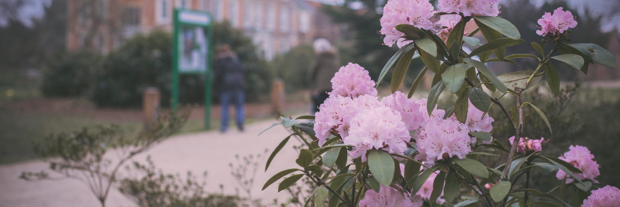 HelenHFortyhall's profile banner image