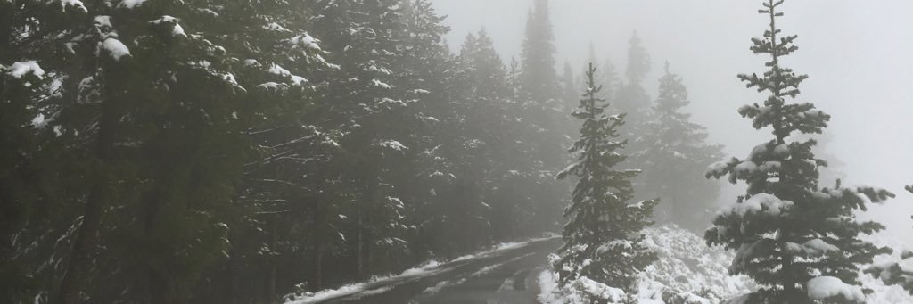 ashleyy_brown's profile banner image