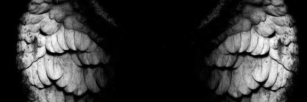 BirdyTheBirdman's profile banner image