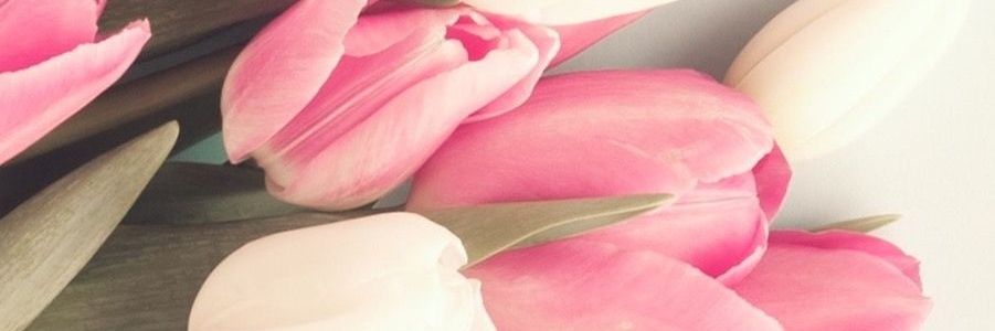 LiniiBg's profile banner image