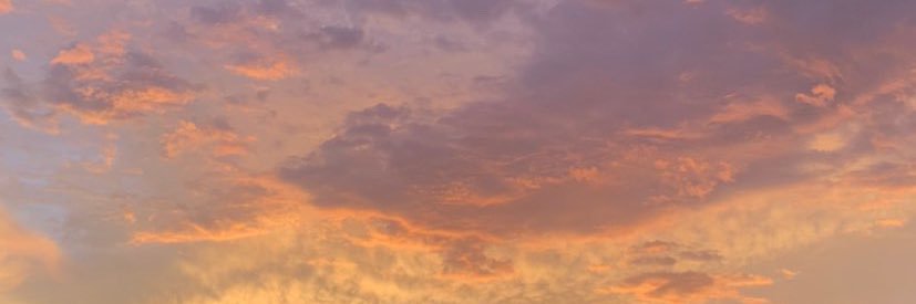 samzaldiivar's profile banner image