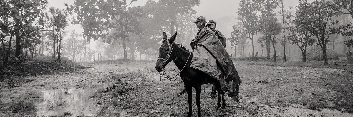 CarlosAdolfoMM's profile banner image