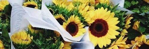 ort15520's profile banner image