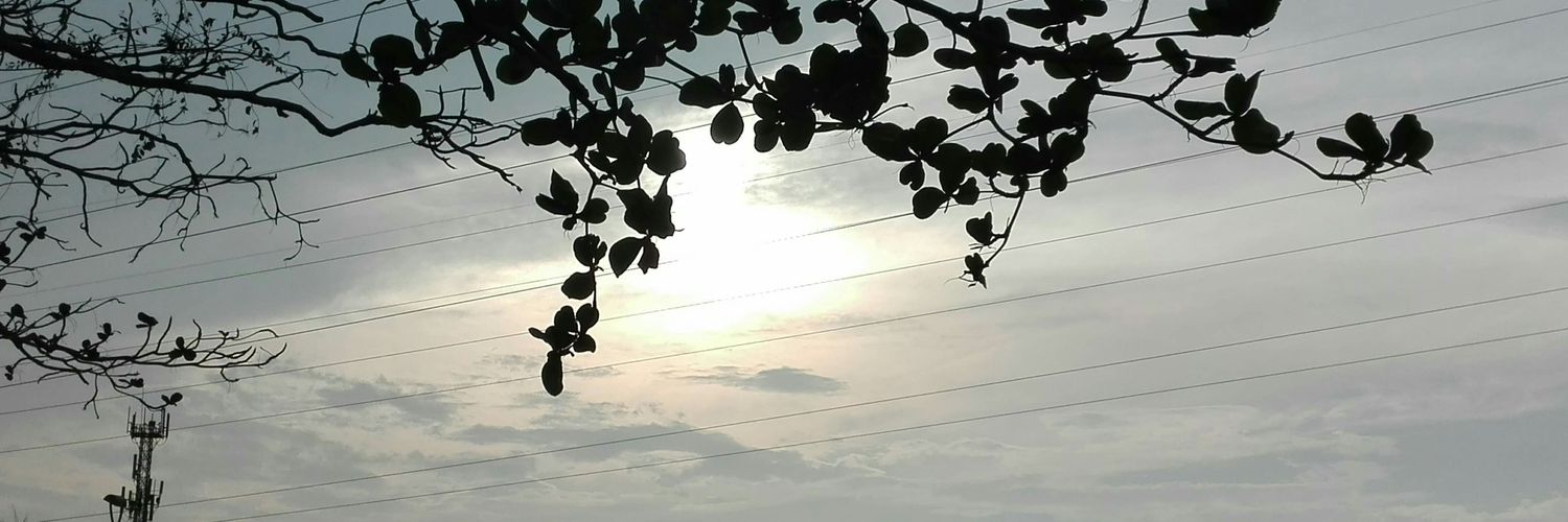 andreacabarcas2's profile banner image