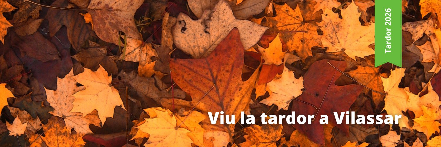 vilassardedalt's profile banner image