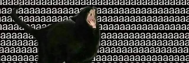 𝙑𝙚𝙧𝙤 ◆ banner