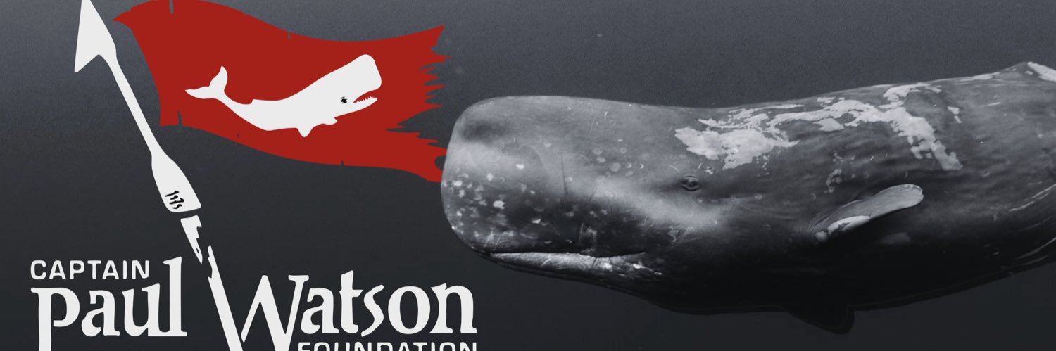 Captain Paul Watson Foundation 🐋🏴‍☠️'s banner