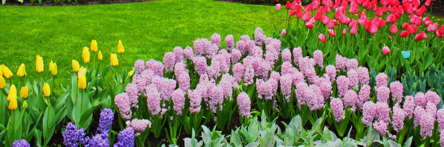 Linghua Wang, MD, PhD banner