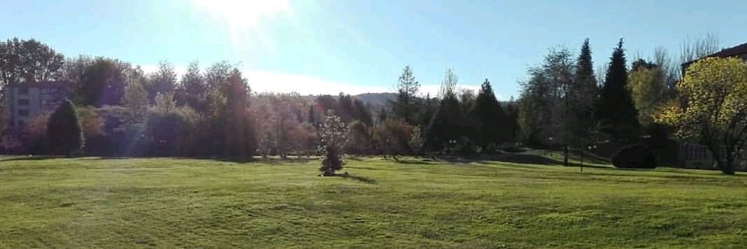 Claudio Palominos banner