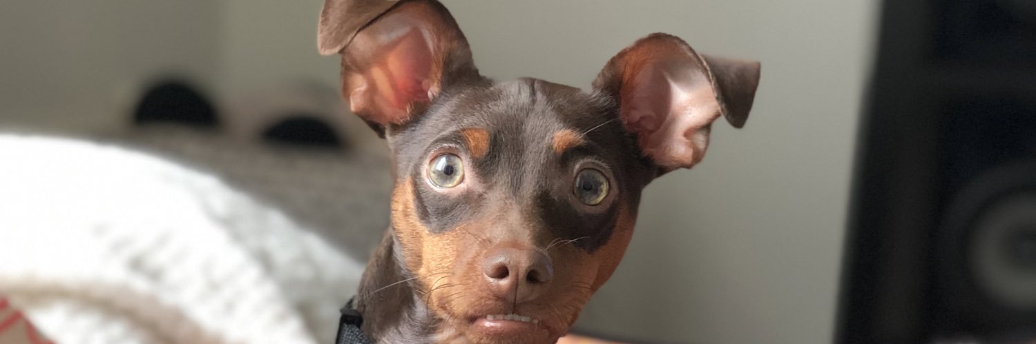 Moniestopbitchn's profile banner image