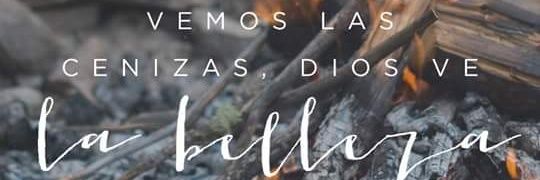 Camila Ricce banner