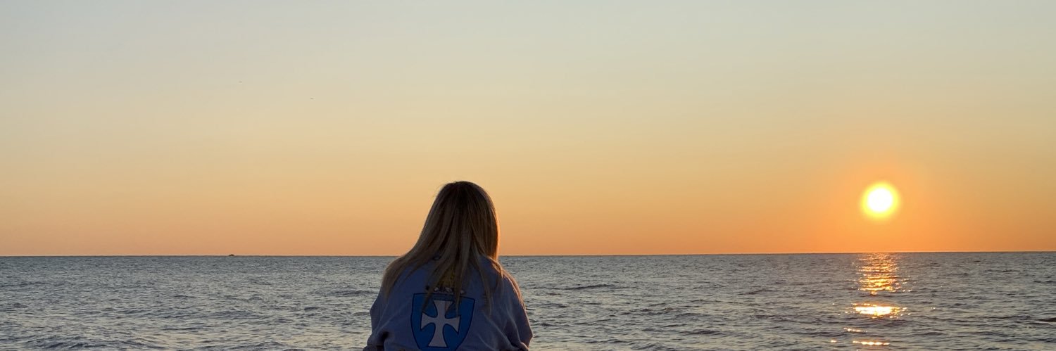 Schafe90's profile banner image