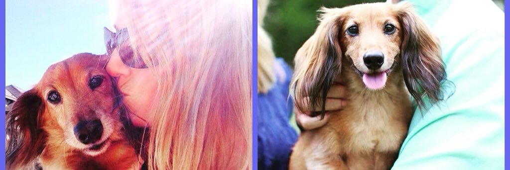 Ericka_Miller's profile banner image
