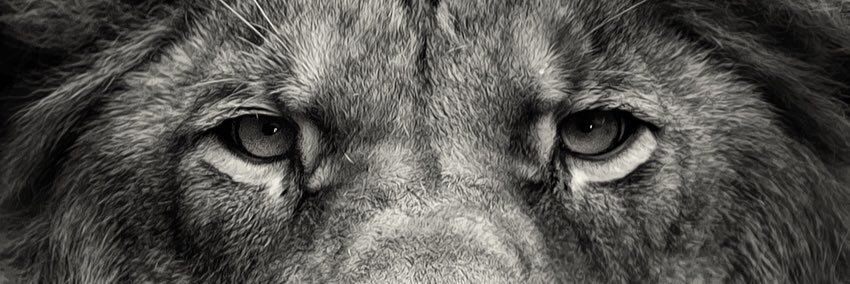 juanrocha21's profile banner image