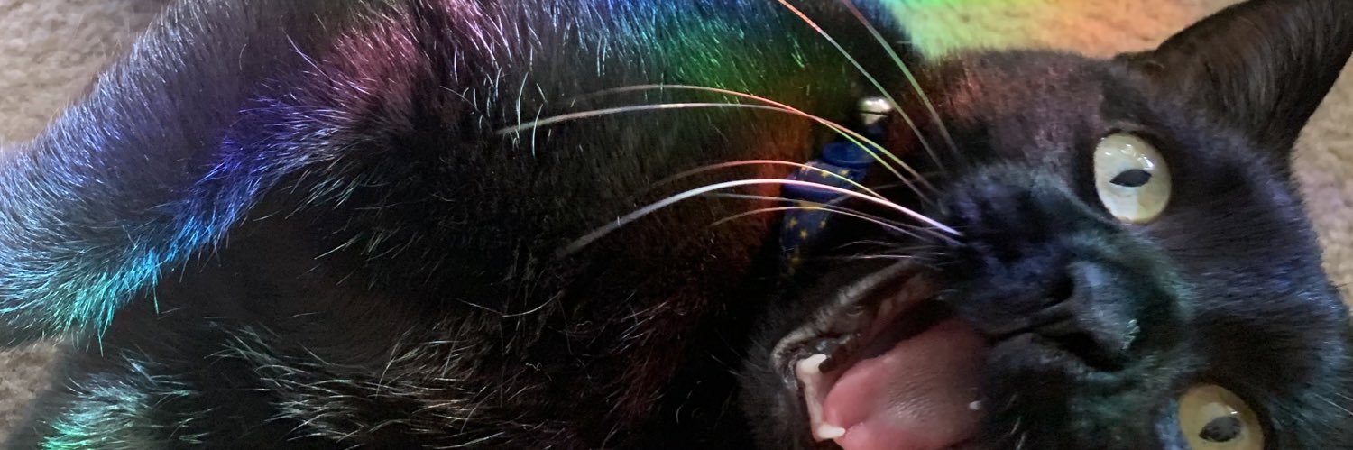lizardqueen14's profile banner image