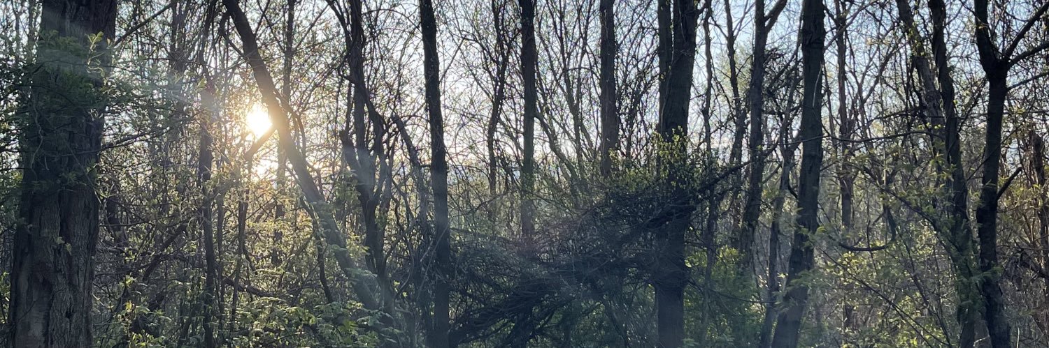 t_rogg_'s profile banner image