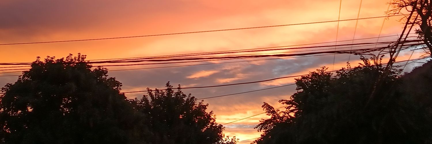 ddayddreamer's profile banner image